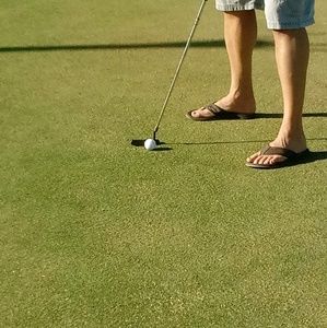 Meet your Posher, Steve